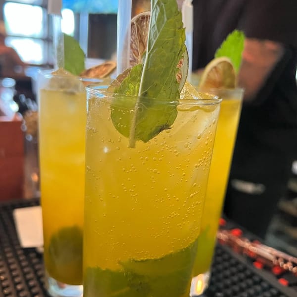 Three tall glasses of yellow bubbly drinks garnished with mint and dried citrus slices.