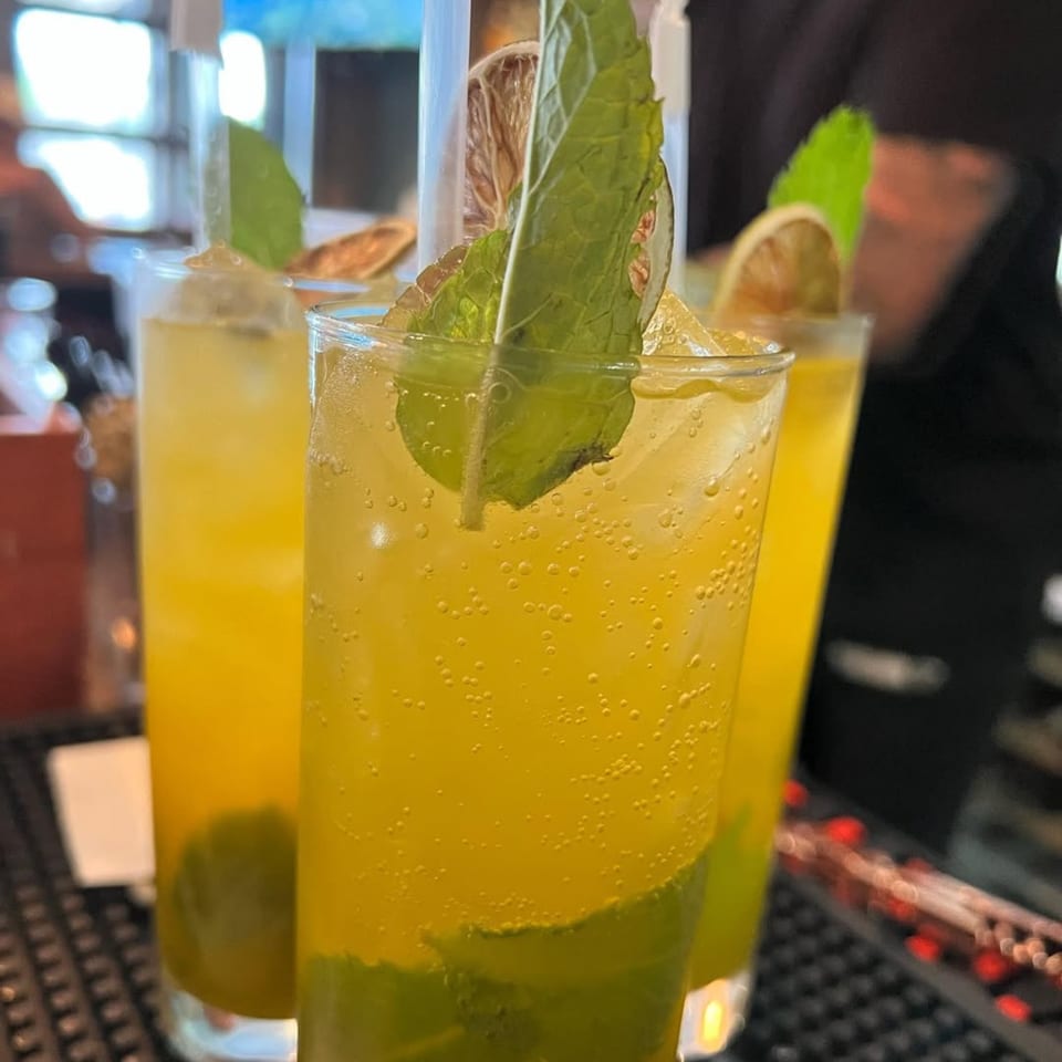 Three tall glasses of yellow bubbly drinks garnished with mint and dried citrus slices.